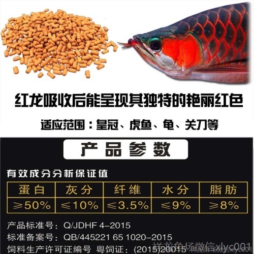 馬印龍魚(yú)飼料金龍魚(yú)飼料龍魚(yú)飼料專(zhuān)用魚(yú)食紅龍魚(yú)飼料龍魚(yú)飼料活體