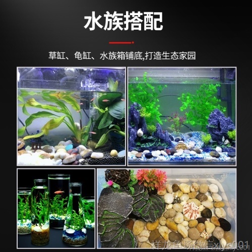 魚缸裝飾造景石頭魚缸底砂底沙雨花石擺件鵝卵石五彩色鋪面小石子 伊巴卡魚 第3張