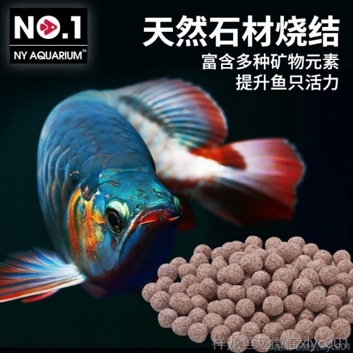 臺灣no1中空納米球石英球魚缸濾材空心過濾球培菌濾材細(xì)菌奈米球 刀魚魚 第1張