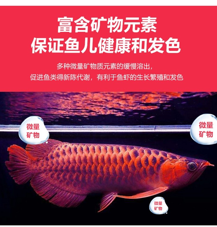 臺灣no1中空納米球石英球魚缸濾材空心過濾球培菌濾材細(xì)菌奈米球 刀魚魚 第26張