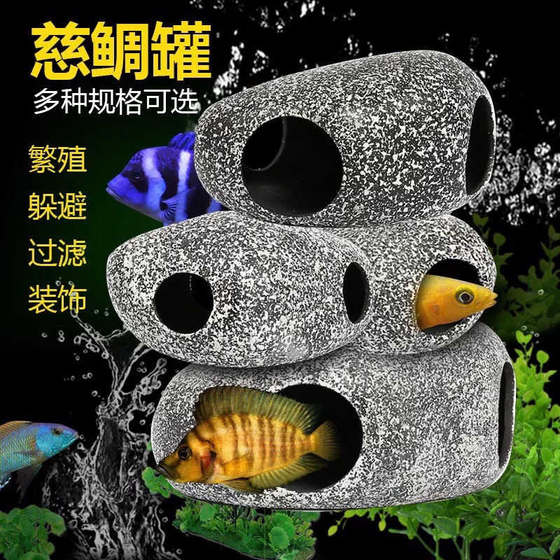 翻身龍魚再續(xù) 水族用品 第2張