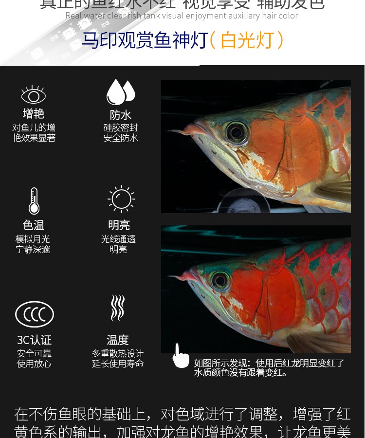 馬印龍魚增艷燈亮彩燈紅龍燈馬印神燈馬印紅龍燈 馬印水族 第15張