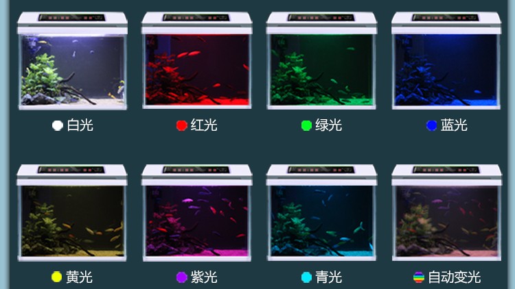 魚缸水族箱金魚缸超白玻璃魚缸水族箱客廳桌面創(chuàng)意小型金魚缸家用生態(tài)免換水金魚缸MinkSheen 魚缸/水族箱 第66張