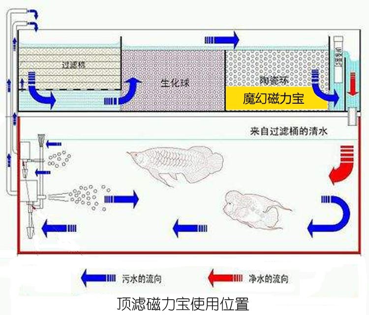 魔幻磁力寶濾材魚缸硝化細菌屋過濾材料上濾底濾側(cè)濾魚缸過濾材料 硝化細菌 第13張