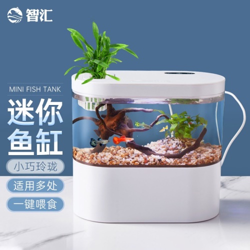 智匯魚缸水族箱自循環(huán)客廳小型桌面創(chuàng)意造景懶人智能水族箱帶燈免換水過濾生態(tài)家用玻璃養(yǎng)金魚缸水草缸爵士白桌面水族箱（魚缸+底濾+燈蓋+循環(huán)泵+造景） 魚缸/水族箱 第1張