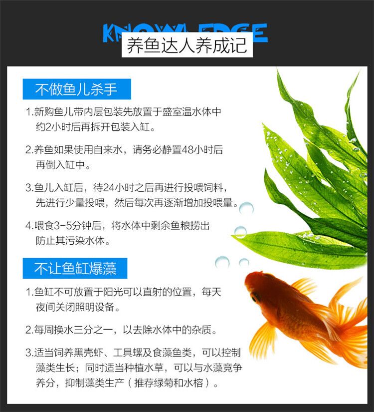 森森（SUNSUN）超白桌面小魚缸生態(tài)玻璃缸水草缸客廳造景金魚缸長方形HWK:420P裸缸（420230260mm） 水草 第89張