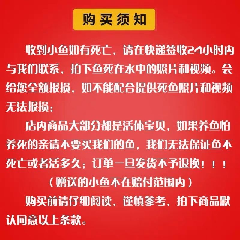 冷水觀賞魚獅子頭金魚活體好養(yǎng)耐活淡水大中小型魚苗寵物魚珍珠碟尾鎏金蘭壽金魚活體魚苗 其它水族用具設(shè)備 第101張