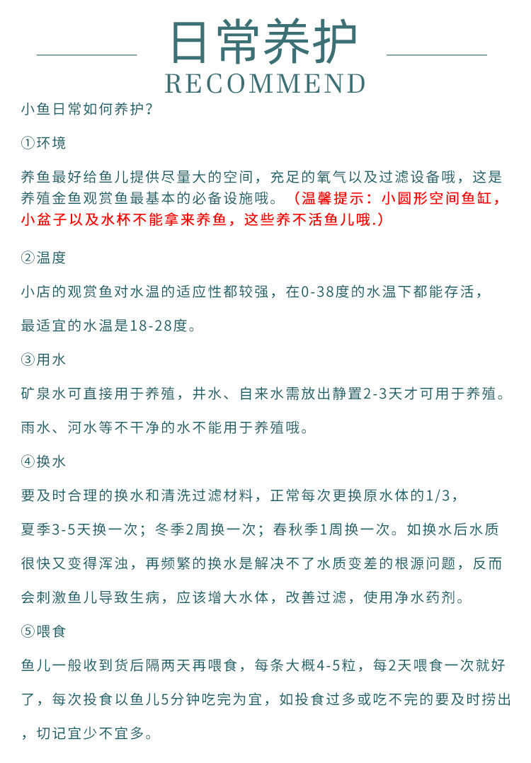 冷水觀賞魚獅子頭金魚活體好養(yǎng)耐活淡水大中小型魚苗寵物魚珍珠碟尾鎏金蘭壽金魚活體魚苗 其它水族用具設(shè)備 第127張