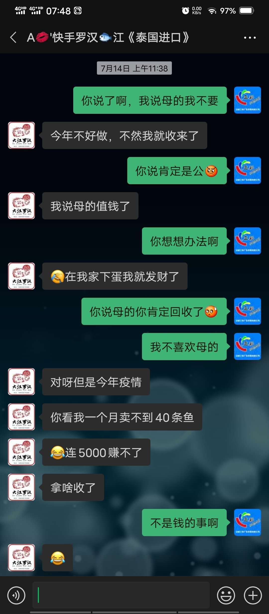 揭露一個黑心魚商 印尼三紋虎 第4張