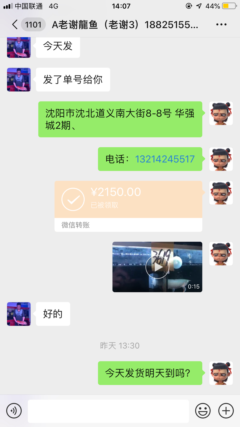 老謝龍魚是騙子