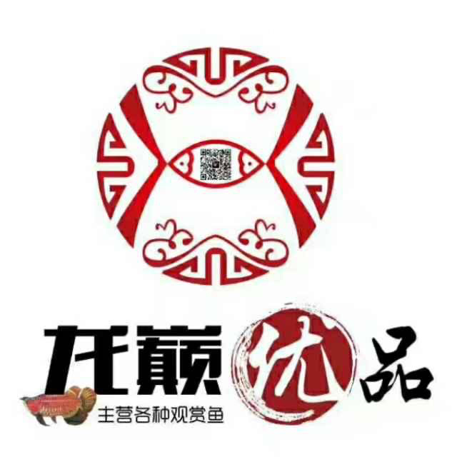 廣州魚缸批發(fā)市場求聯(lián)系方式