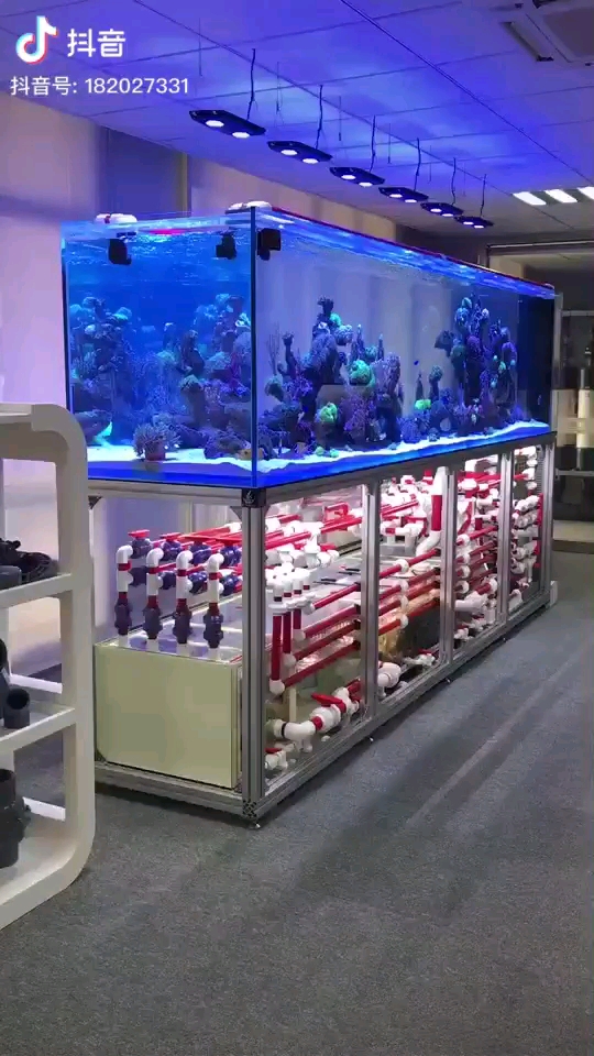 廣州水族館魚(yú)缸水中美