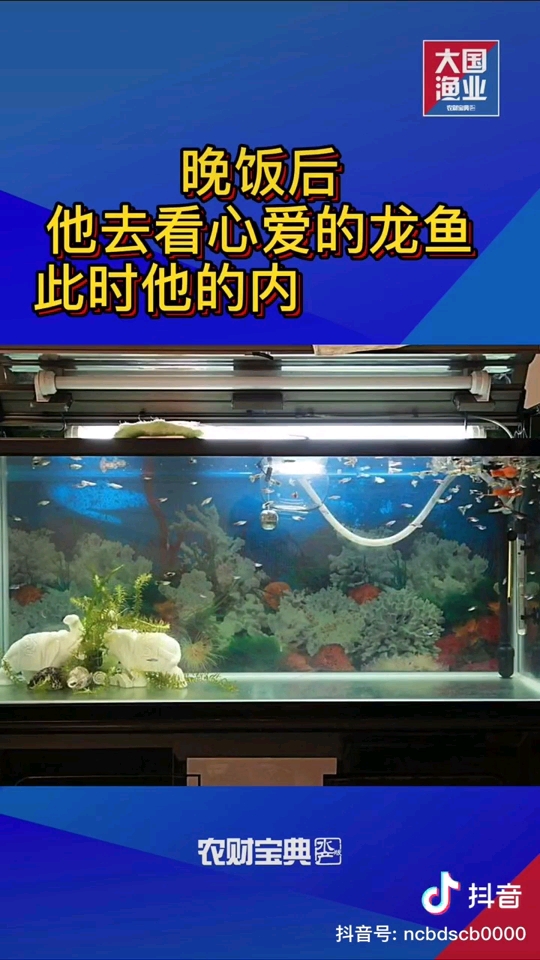 這位魚(yú)友您還好嗎？ 委內(nèi)瑞拉奧里諾三間魚(yú)苗