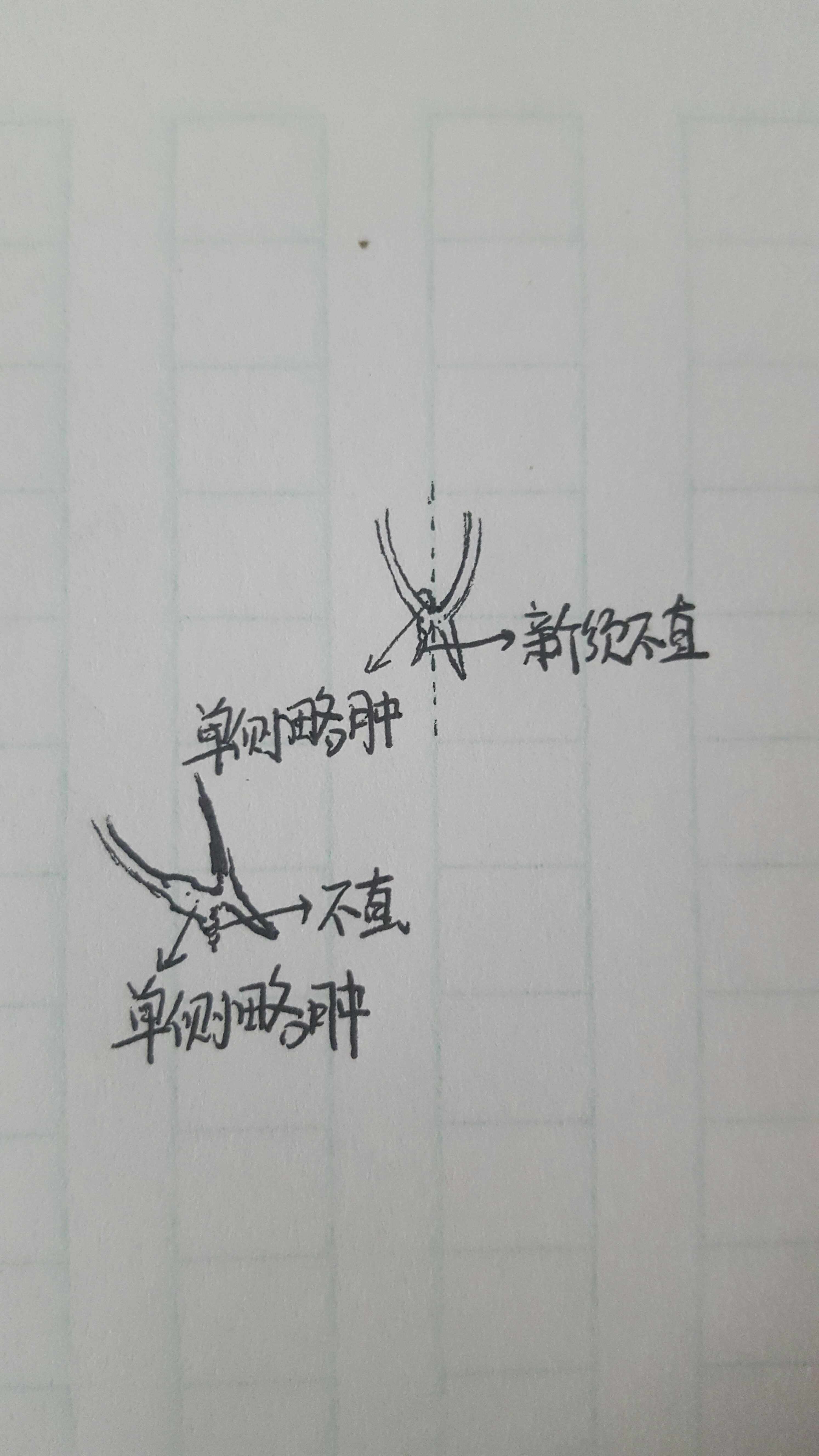 在商家那看中一條紅龍斷過須嘴有點(diǎn)不對(duì)