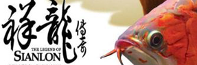 幻彩羅漢魚(yú) 羅漢魚(yú) 第2張