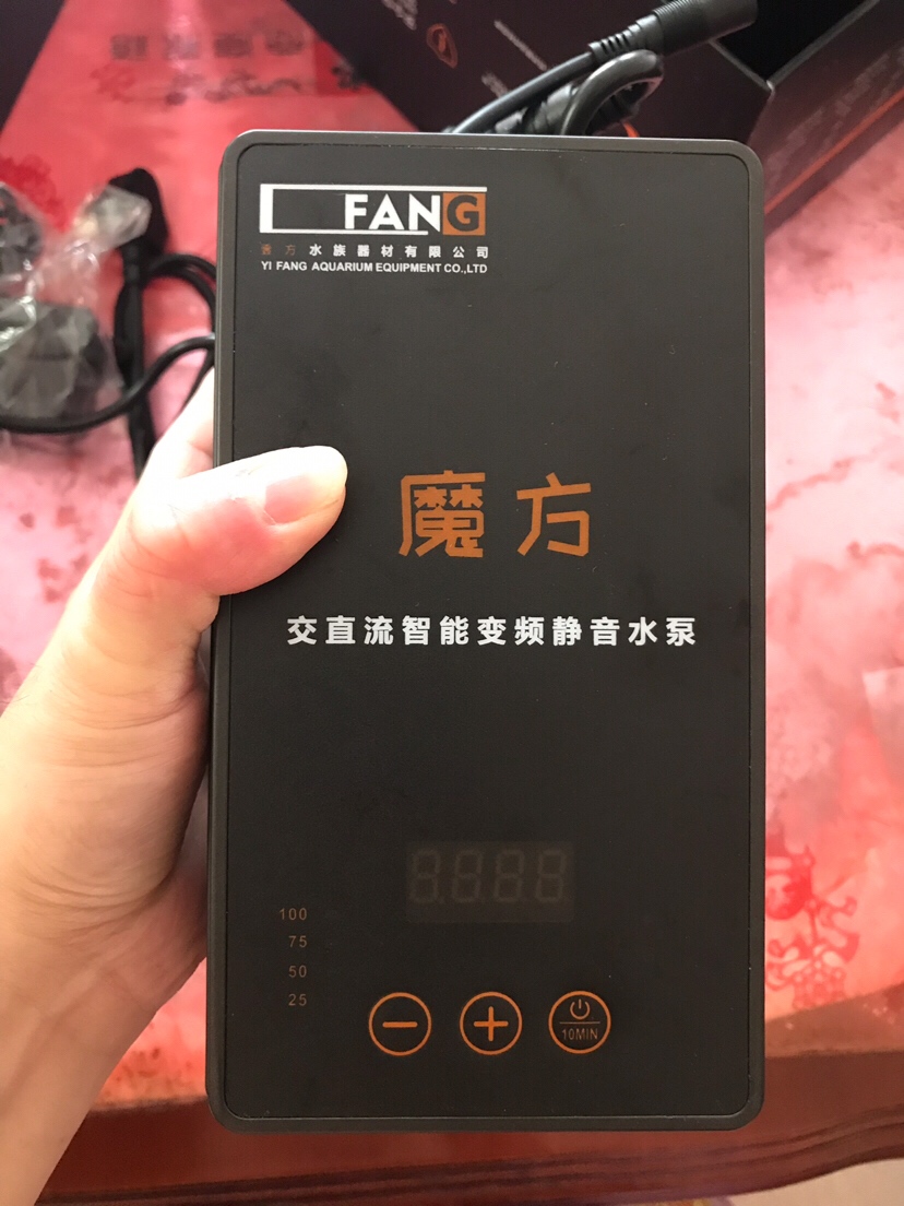 魔方獎(jiǎng)品到家 南美異形觀賞魚 第6張