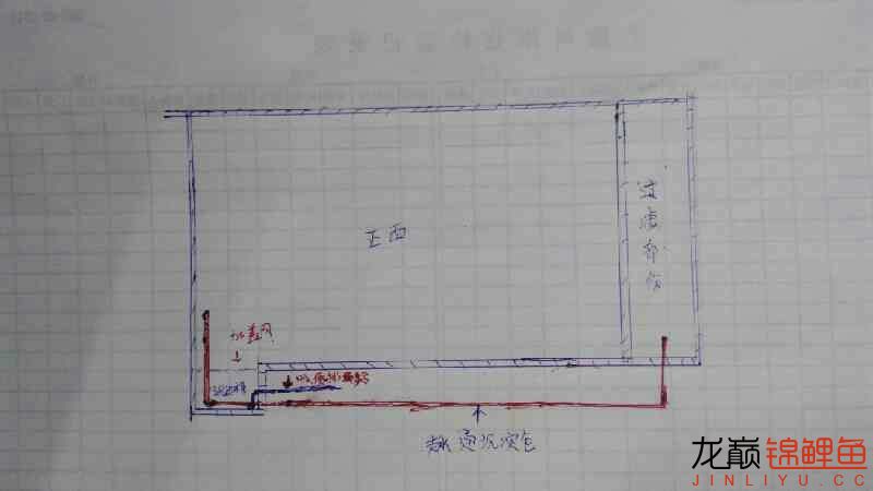 想造個地缸圖紙是自己想的求大指點一二 白條過背金龍魚 第1張