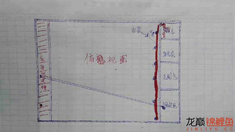 想造個地缸圖紙是自己想的求大指點一二 白條過背金龍魚 第2張