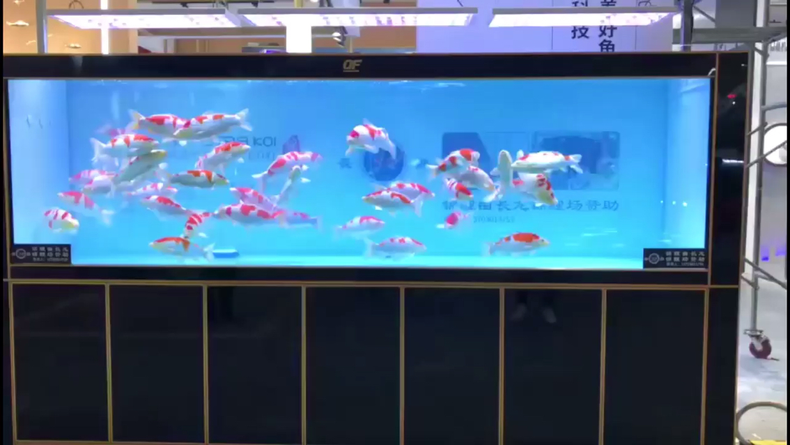 2019CIPS水族展