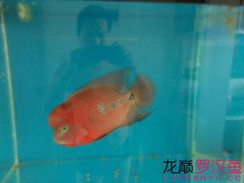 嗮魚