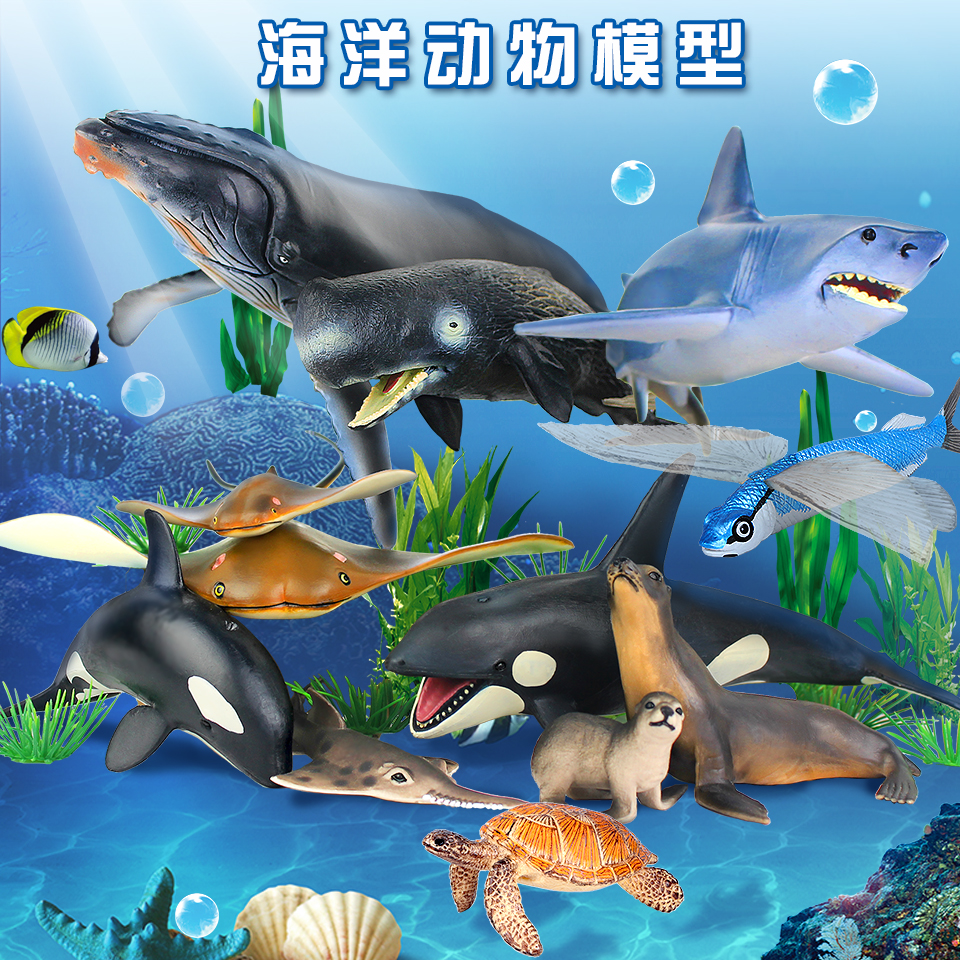 四海水族泰國貿(mào)易邀你來拼魚+海盜虎魚