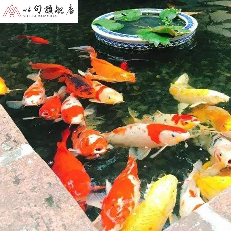 樂在喂食中 PH調(diào)節(jié)劑 第2張