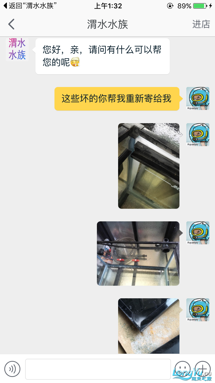 大家好跟大伙談?wù)勑【d羊順便給我買龍給個建議吧 雪龍魚 第15張