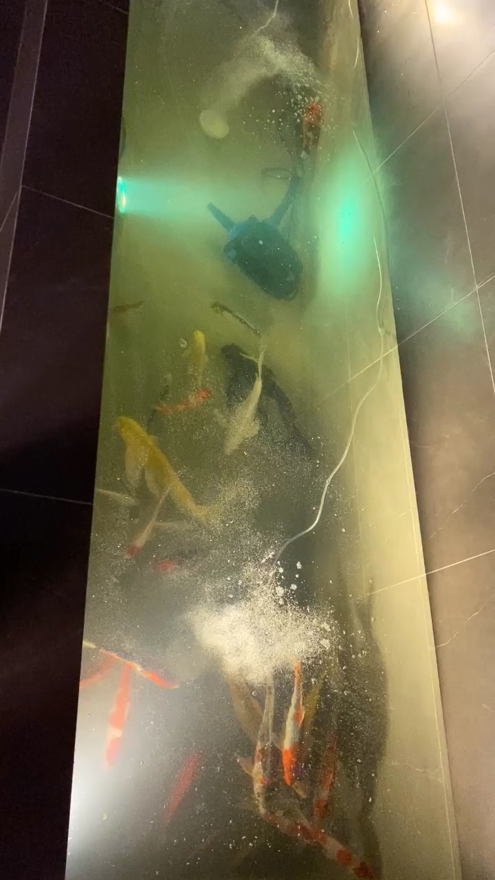 林芝水族館請指教