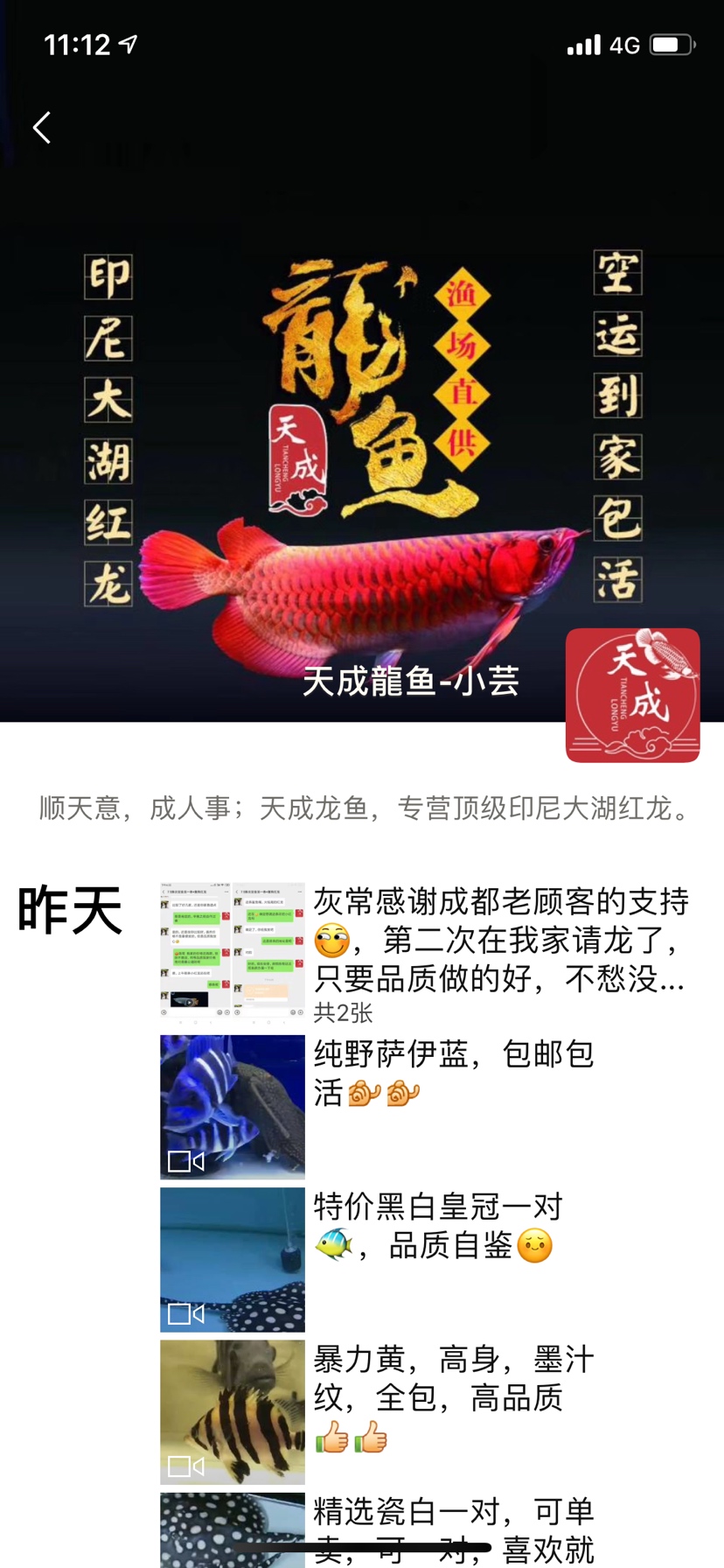 掛羊頭賣狗肉 元寶鳳凰魚 第1張