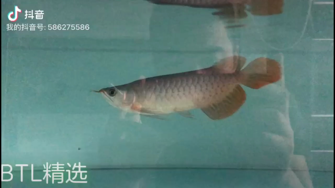 好魚好水