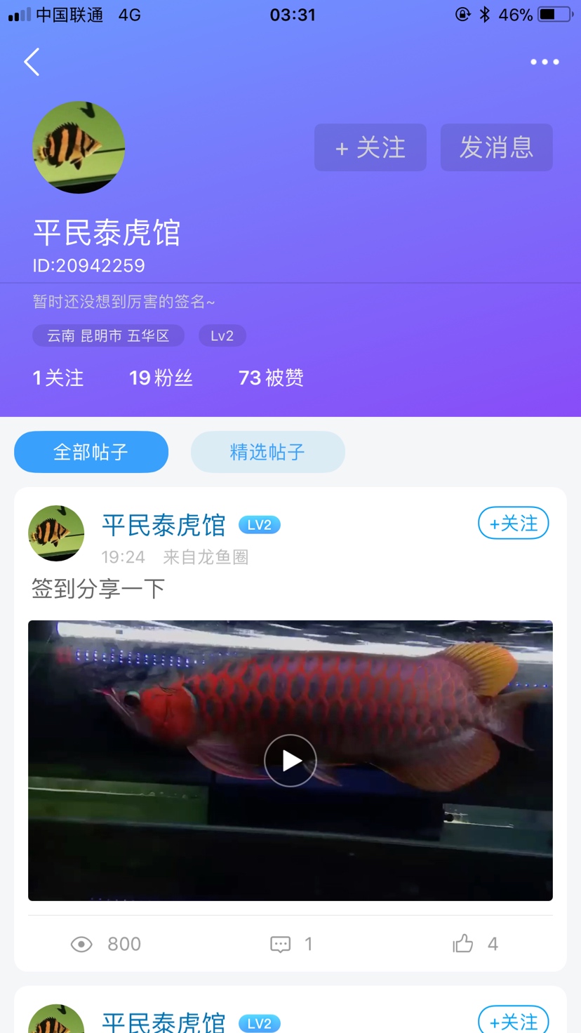 常州觀賞魚市場(chǎng)盜用你是想干嘛？ 觀賞魚市場(chǎng)（混養(yǎng)魚） 第4張