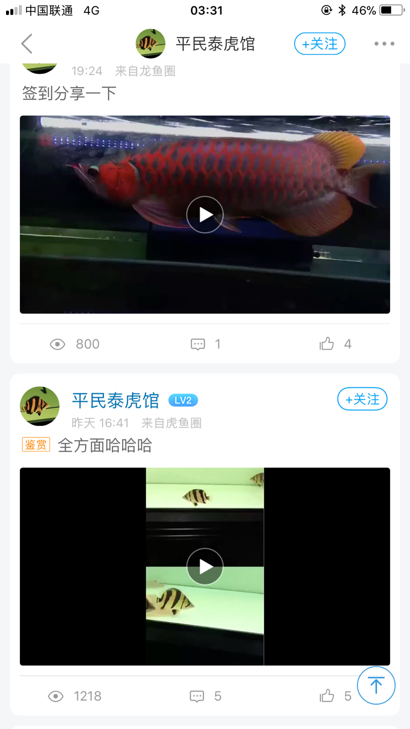 常州觀賞魚市場盜用你是想干嘛？