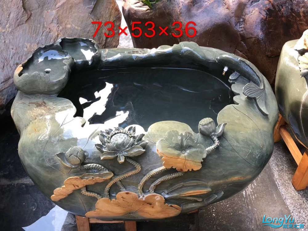 楚雄彝族自治州水族館石頭魚缸養(yǎng)魚的問題大神進(jìn)來指導(dǎo)一下