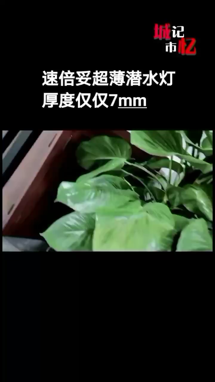 速倍妥新品燈管 速倍妥 第1張