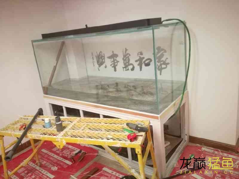 南通水族館十年養(yǎng)魚路新的起點