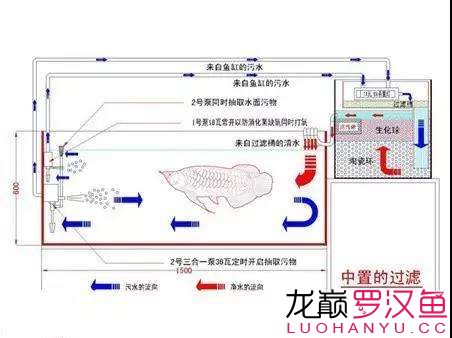 養(yǎng)好魚怎么可以少了過濾