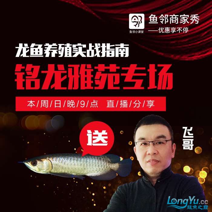 哈爾濱水族館如何領(lǐng)取價值3888的伍星古典過背金龍？