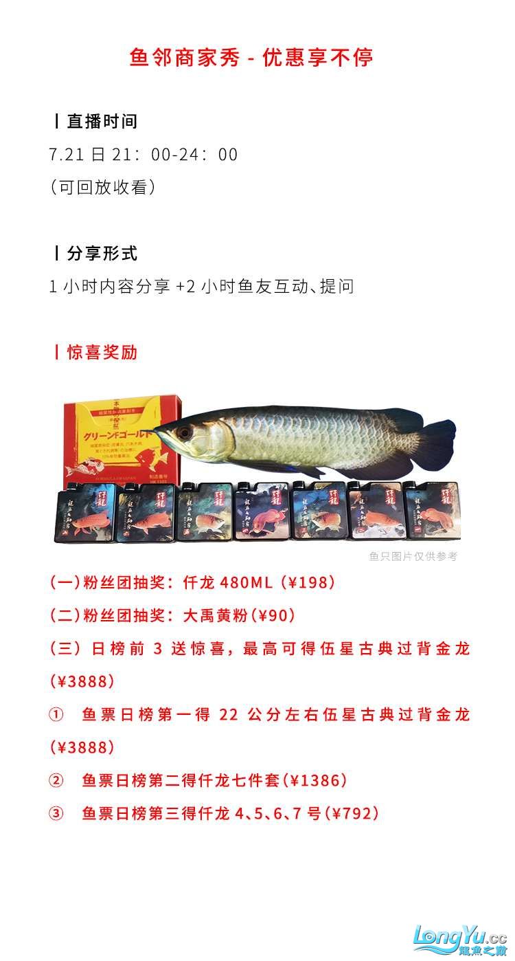 哈爾濱水族館如何領(lǐng)取價(jià)值3888的伍星古典過(guò)背金龍？ 白子球鯊魚 第4張