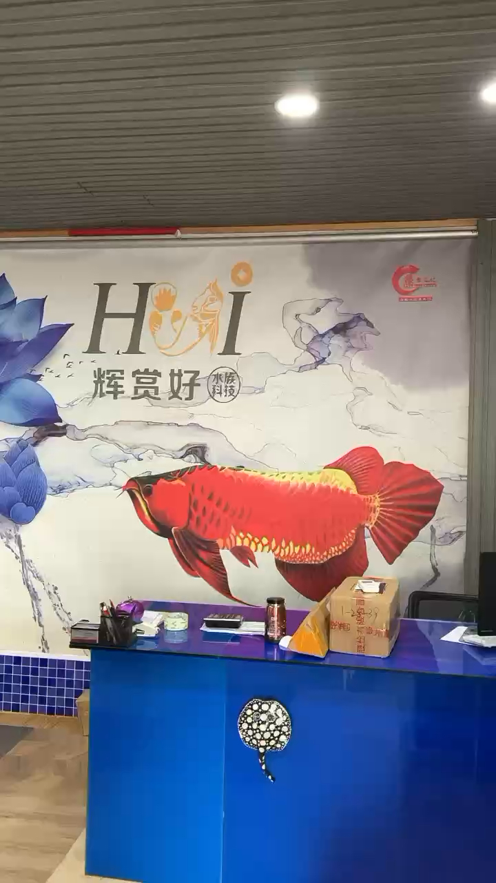 漢中觀賞魚市場立秋后要更上一層樓