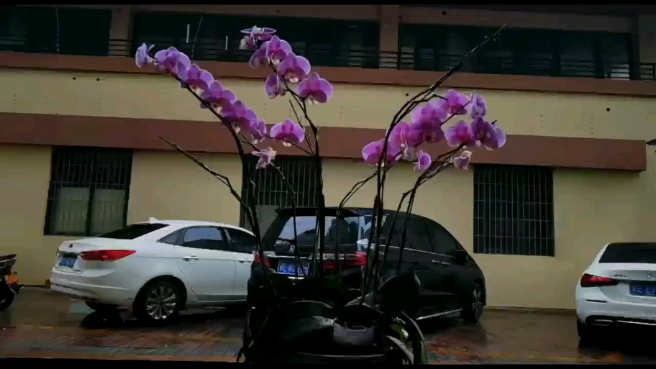 下雨天依然擋不住我勵(lì)志的心