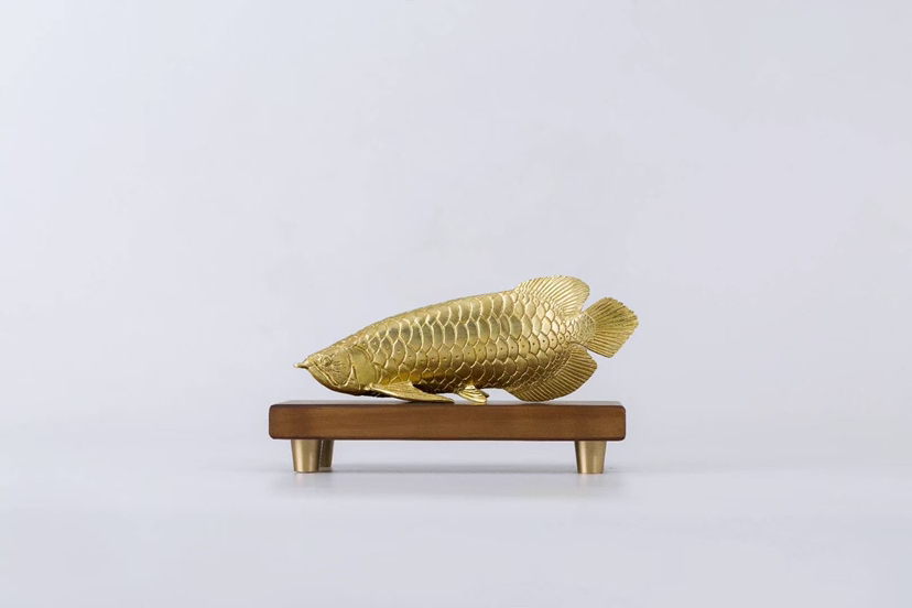 亞洲龍魚銅金擺件工藝品 巴西亞魚苗 第5張