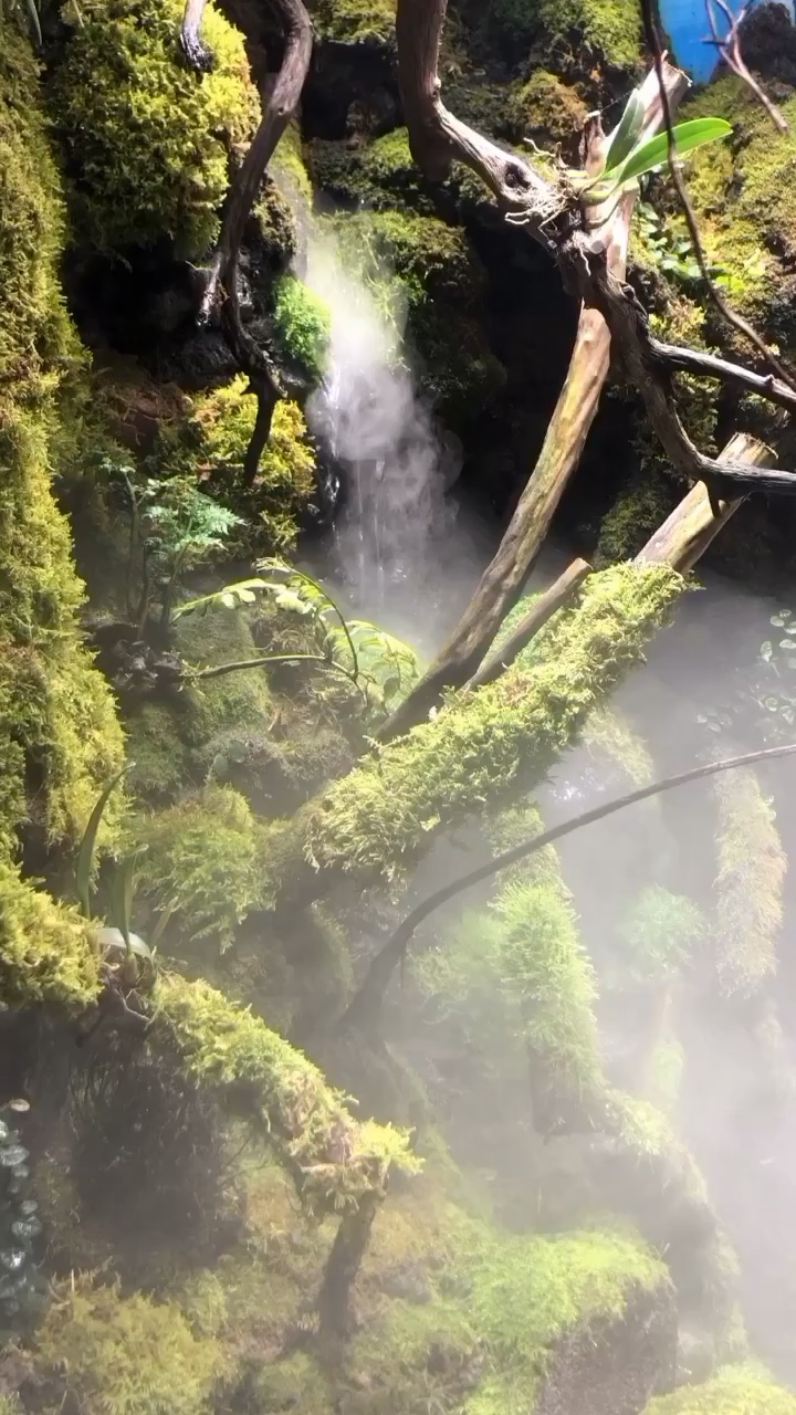 雨淋還是蠻好看的 藍(lán)帆三間魚(yú) 第2張