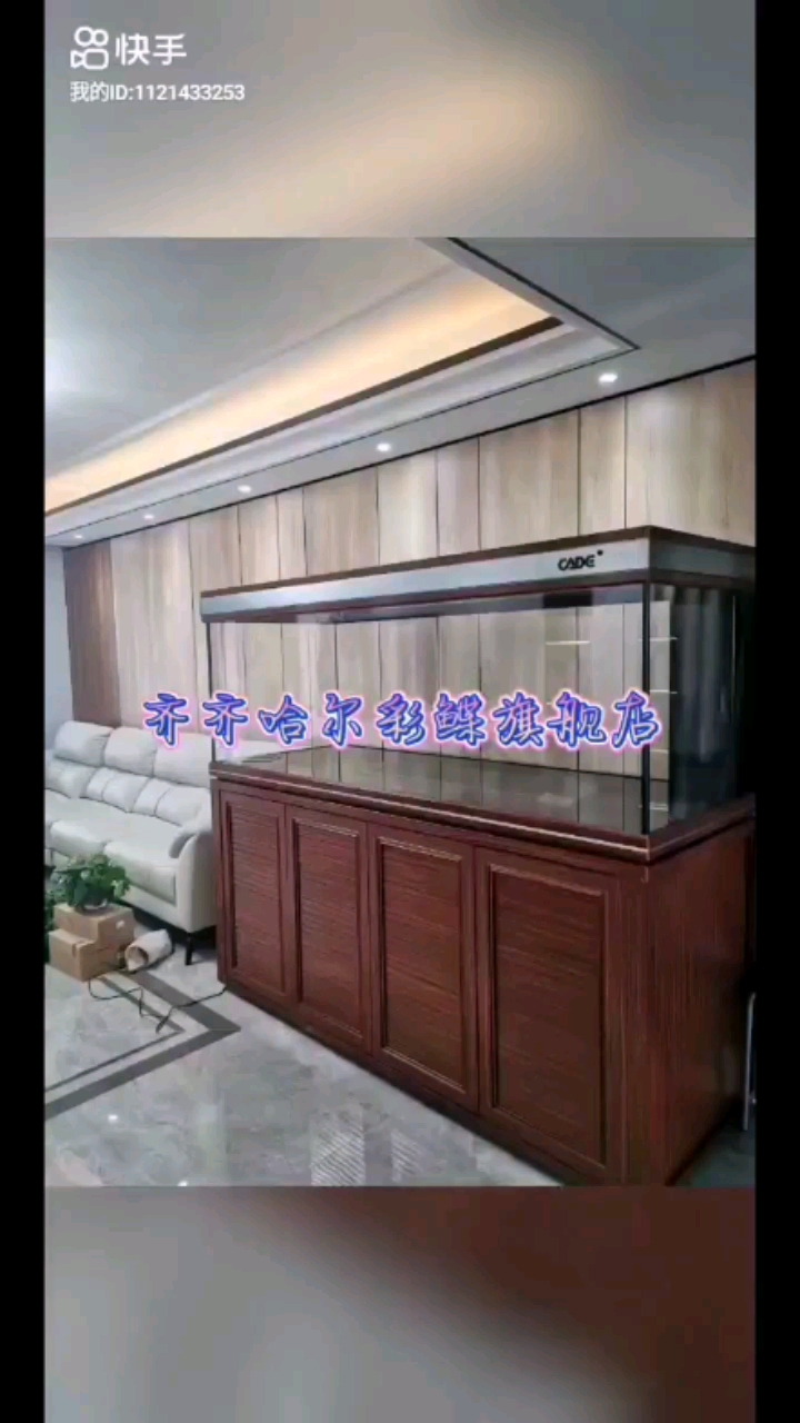 濱州觀賞魚市場彩鰈魚缸展示 觀賞魚市場（混養(yǎng)魚） 第2張