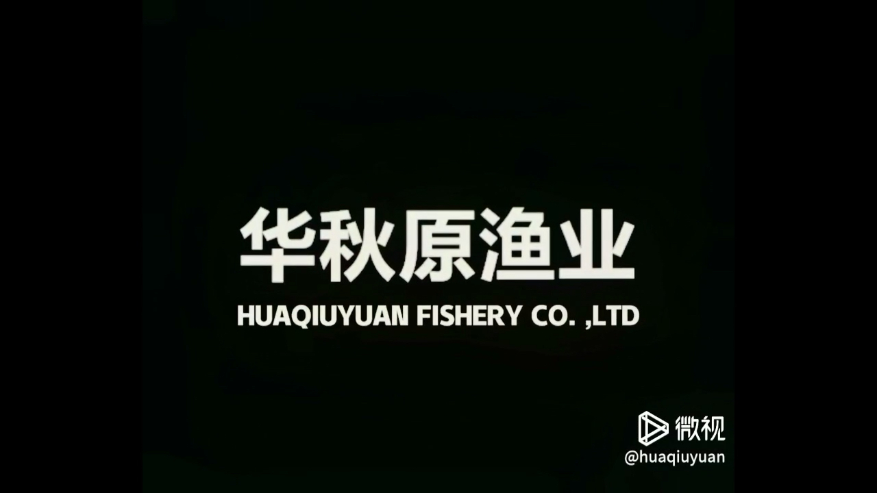 血統(tǒng)好魚自然就漂亮簡單粗爆