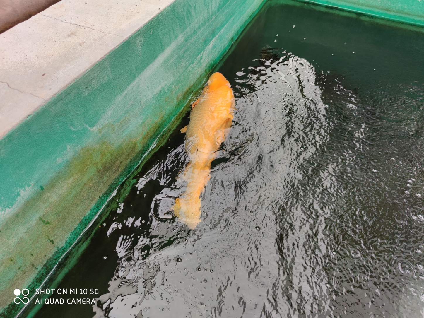 懷化水族館正規(guī)軍來了