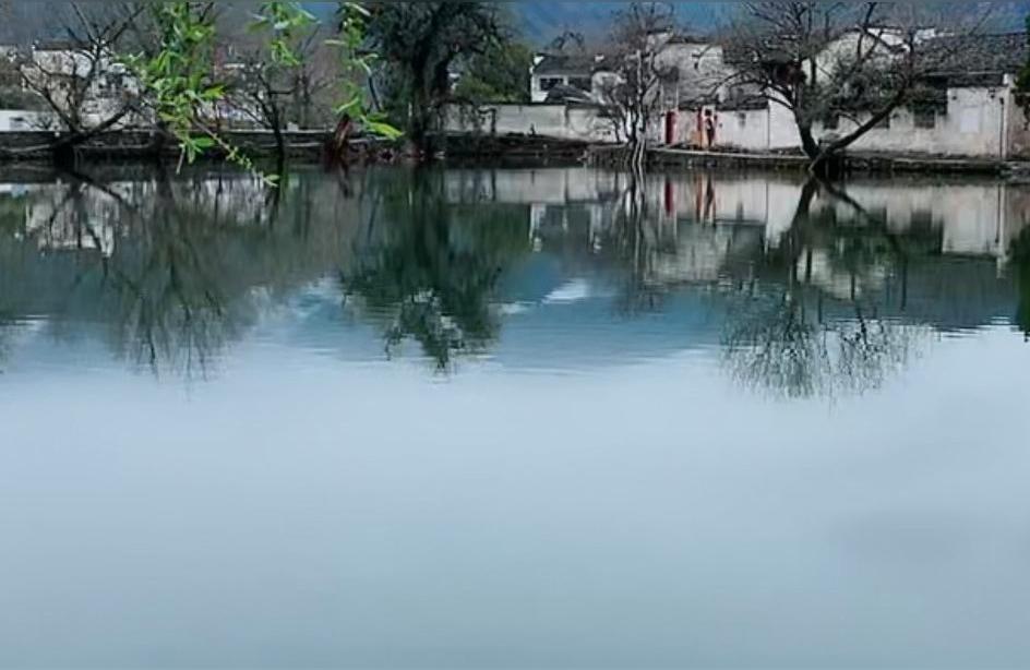 廊坊水族批發(fā)市場