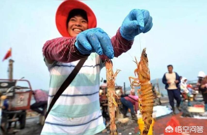 唐山水族批發(fā)市場 觀賞魚水族批發(fā)市場 第1張