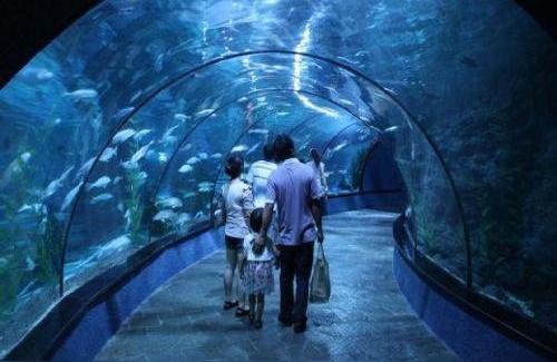 北京水族館 觀賞魚企業(yè)目錄 第1張