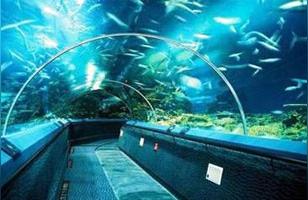 大連水族館