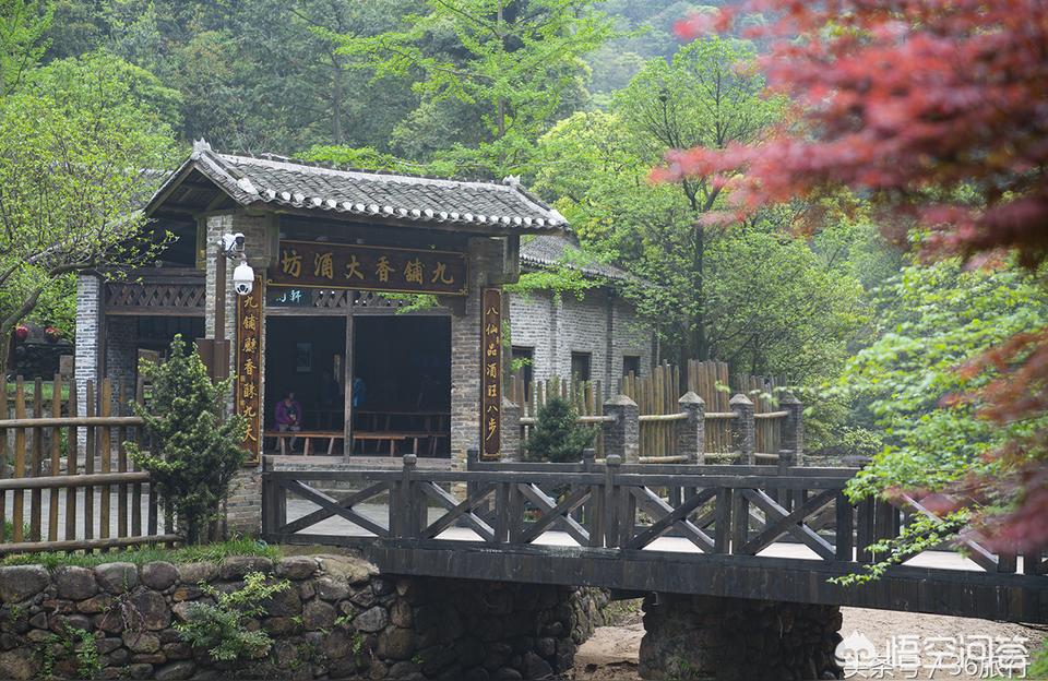 賀州水族館 觀賞魚(yú)企業(yè)目錄